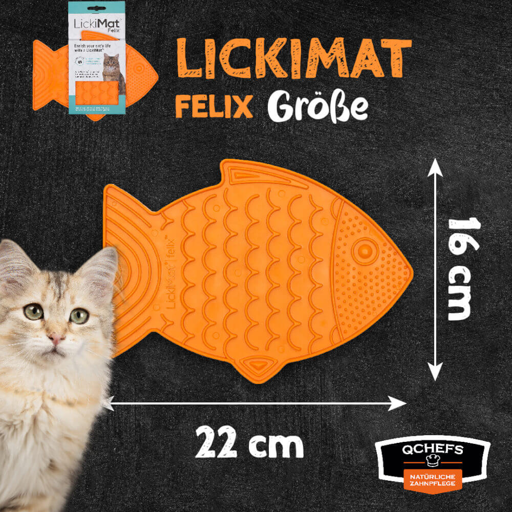 Licki Dental Bundle Tuff – Bild 4