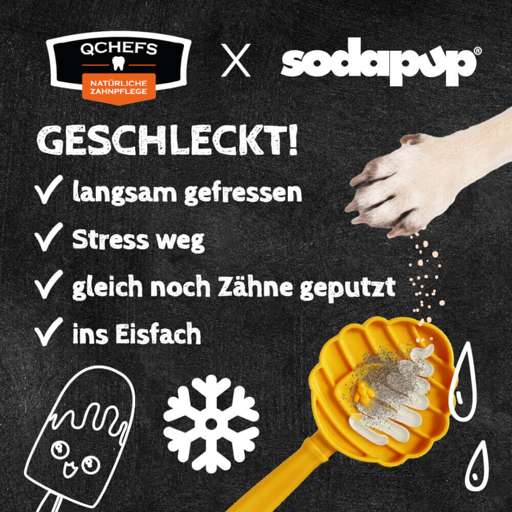 Lick Stick Bundle Hund Gelb – Bild 4