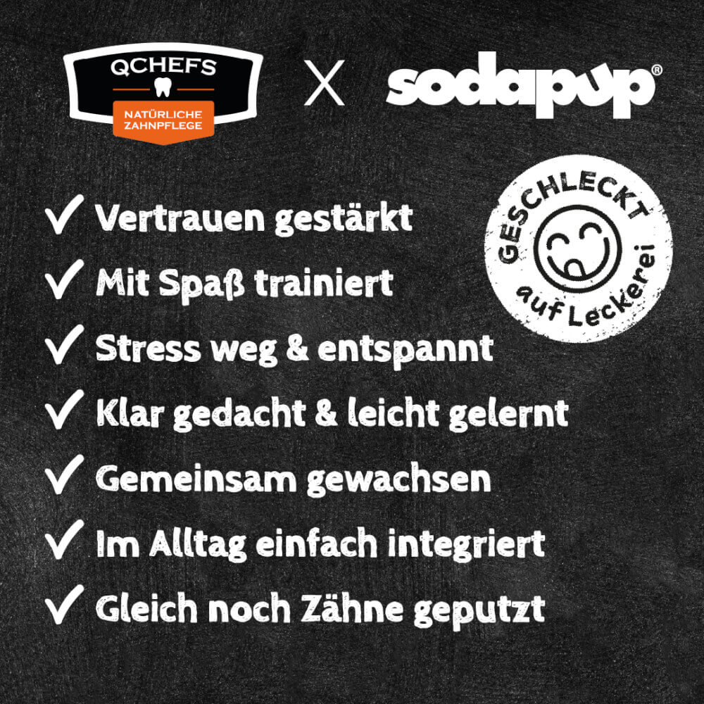 Lick Stick Bundle Hund Gelb – Bild 6