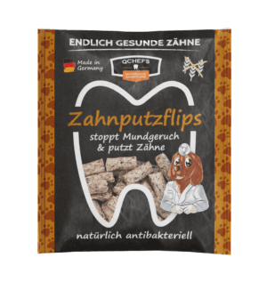 Zahnputzflips Hund 1