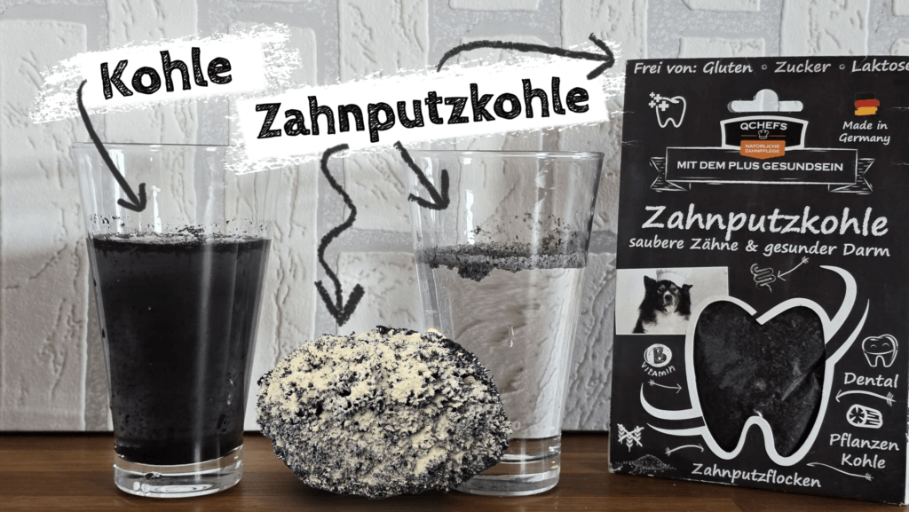 Vergleich von Kohle und QCHEFS Zahnputzkohle – natürliche Zahnpflege für Hunde und Katzen mit Zahnputzflocken – gesunde Zähne und sauberer Atem.