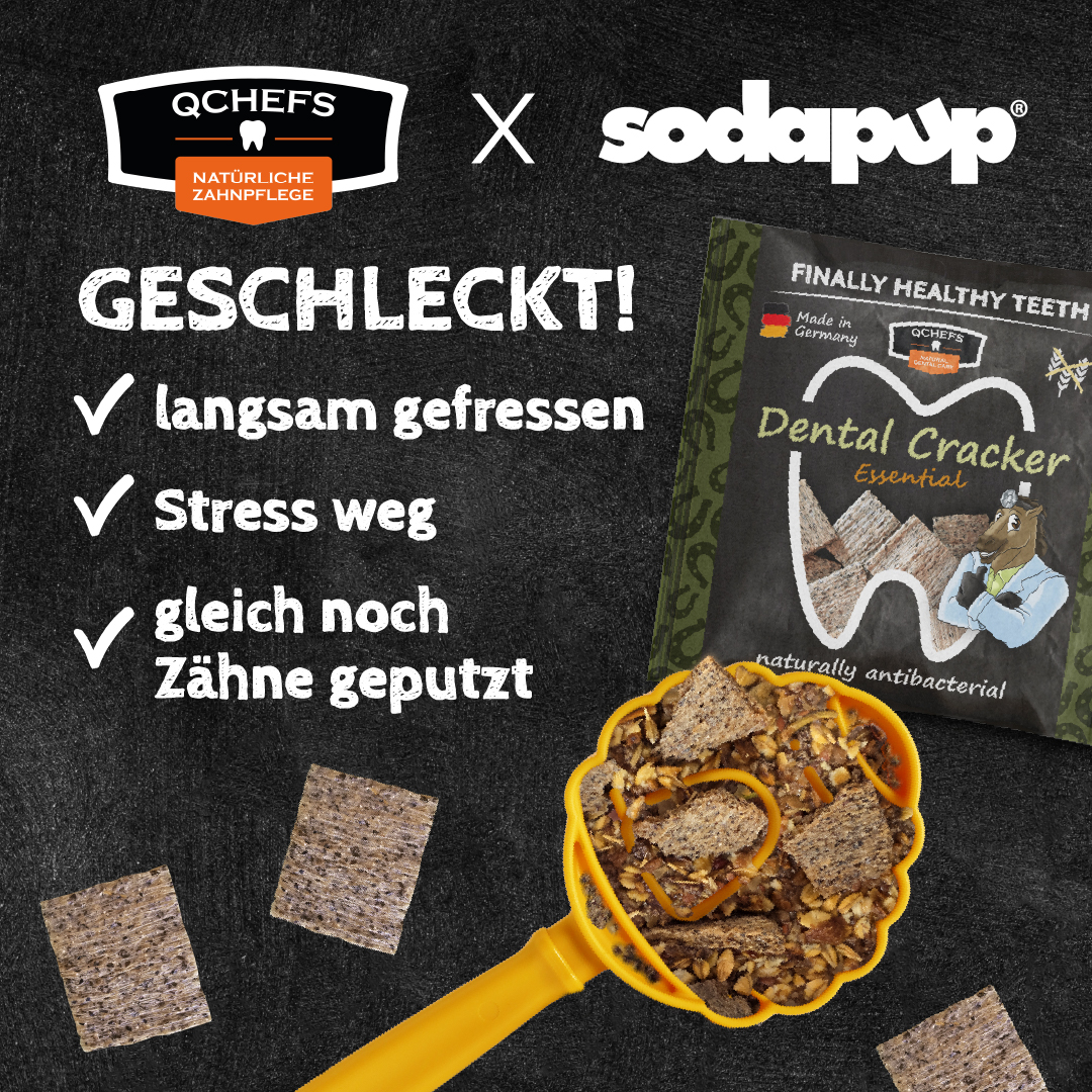 Lick Stick Bundle Pferd – Bild 3