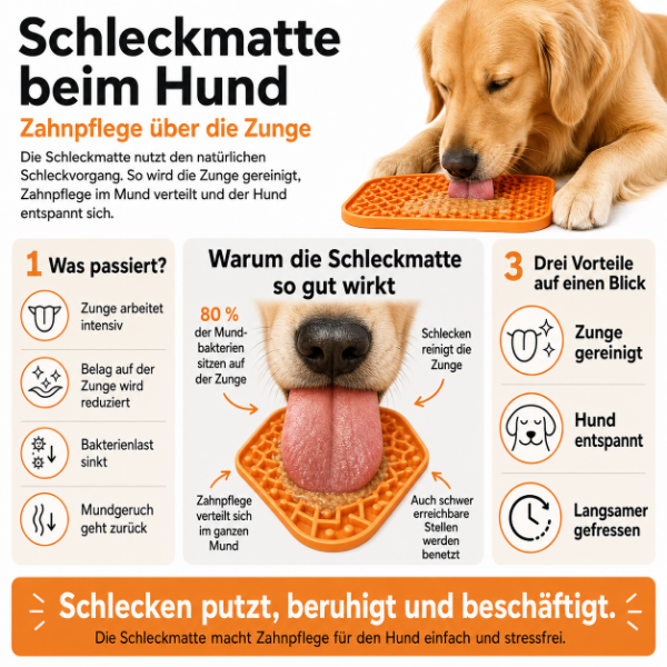 Hund schleckt von einer Schleckmatte und verteilt Zahnpflege über die Zunge im Mund