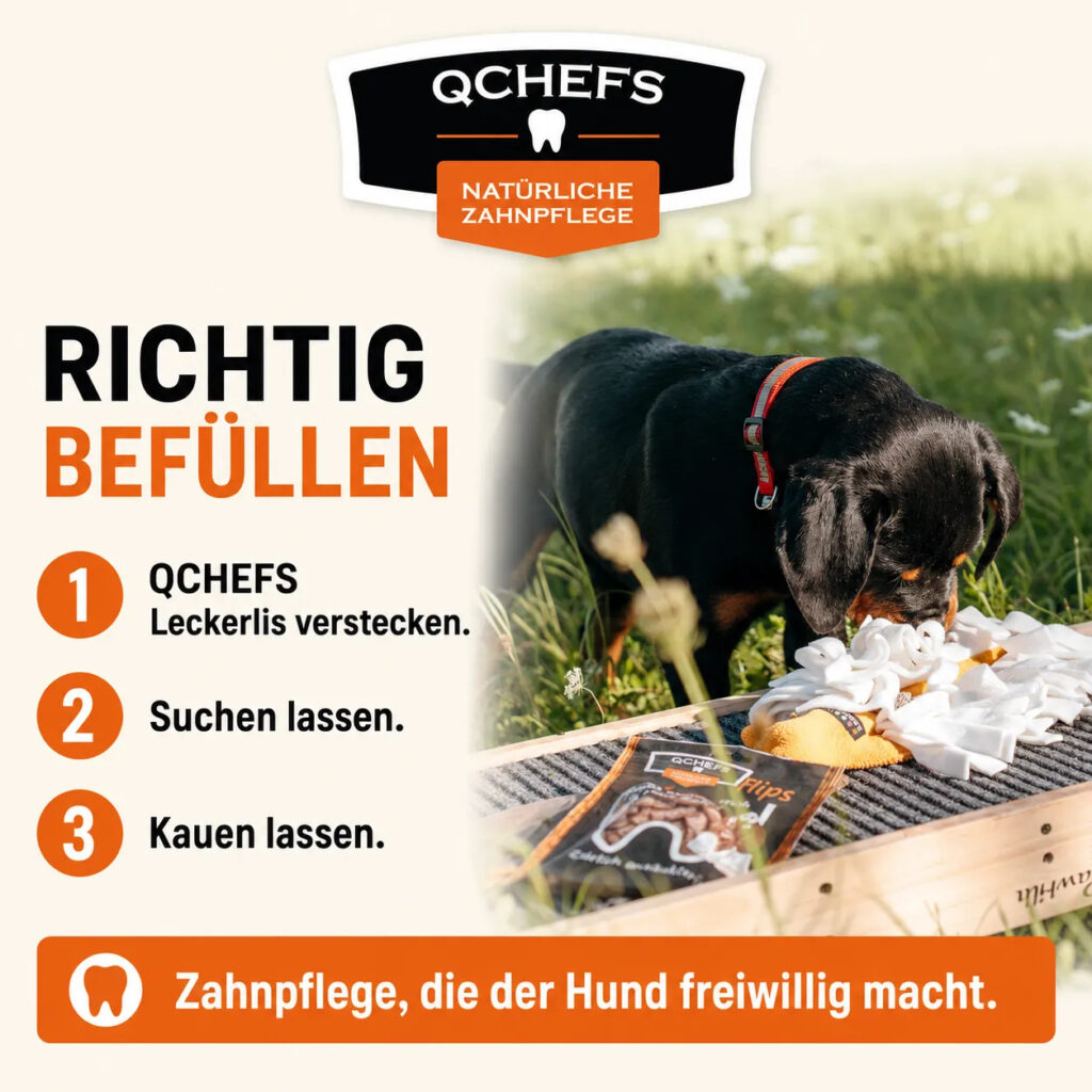 Hund sucht QCHEFS Zahnputzflips in einer Schnüffelmatte